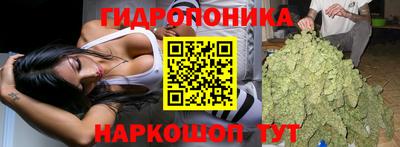 МДПВ Вышний Волочёк