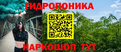 МДПВ Вышний Волочёк